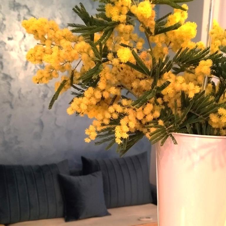 Blue Skies - Apartman sa 1 Spavaćom Sobom - 17