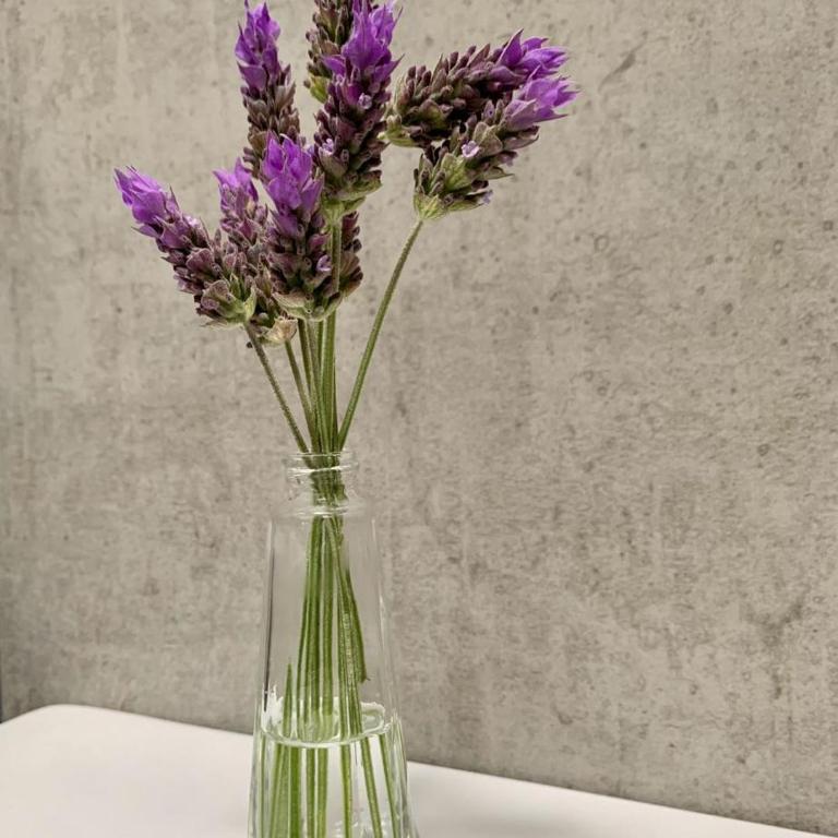 Las Tipas mini loft Cafayate - One-Bedroom Apartment - 31