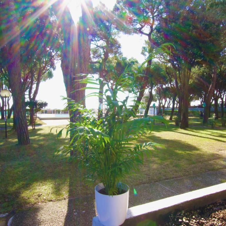 Park Residence 1 - Home Immobiliare - Appartamento con 1 Camera da Letto - 4