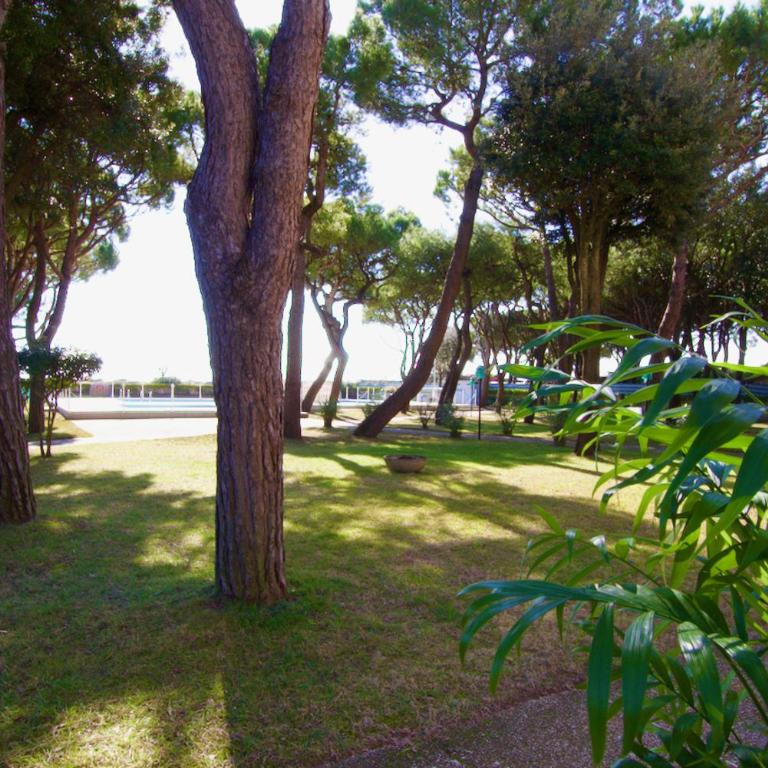 Park Residence 1 - Home Immobiliare - Appartamento con 1 Camera da Letto - 6