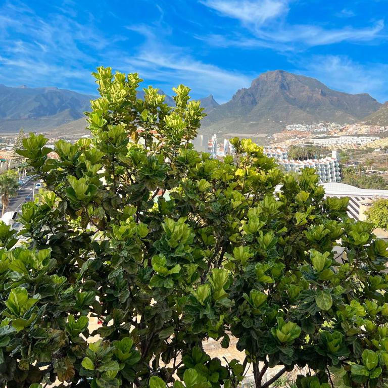 Tenerife Paradise Anna Studio - Apartamento de 1 dormitorio - 8