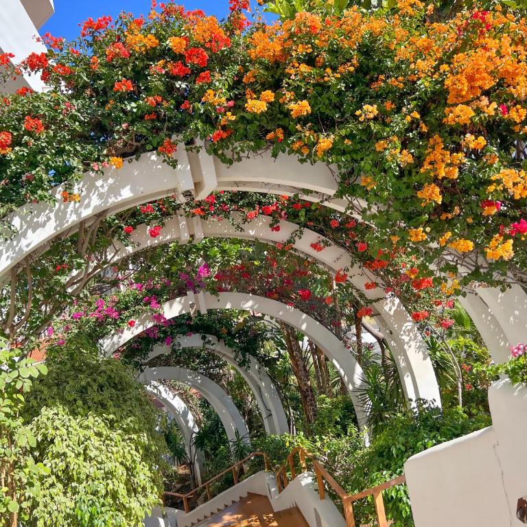 Tenerife Paradise Anna Studio - Apartamento de 1 dormitorio - 9