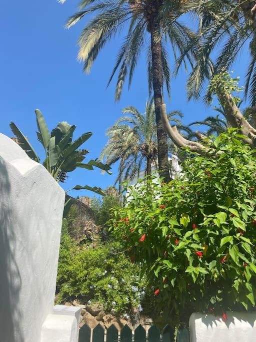 Beach (3mins walk) Apartment. Newly Renovated. - Apartment - 20
