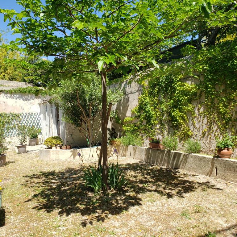 Appartement au cœur de cassis avec jardin - Appartement 1 Chambre - 2