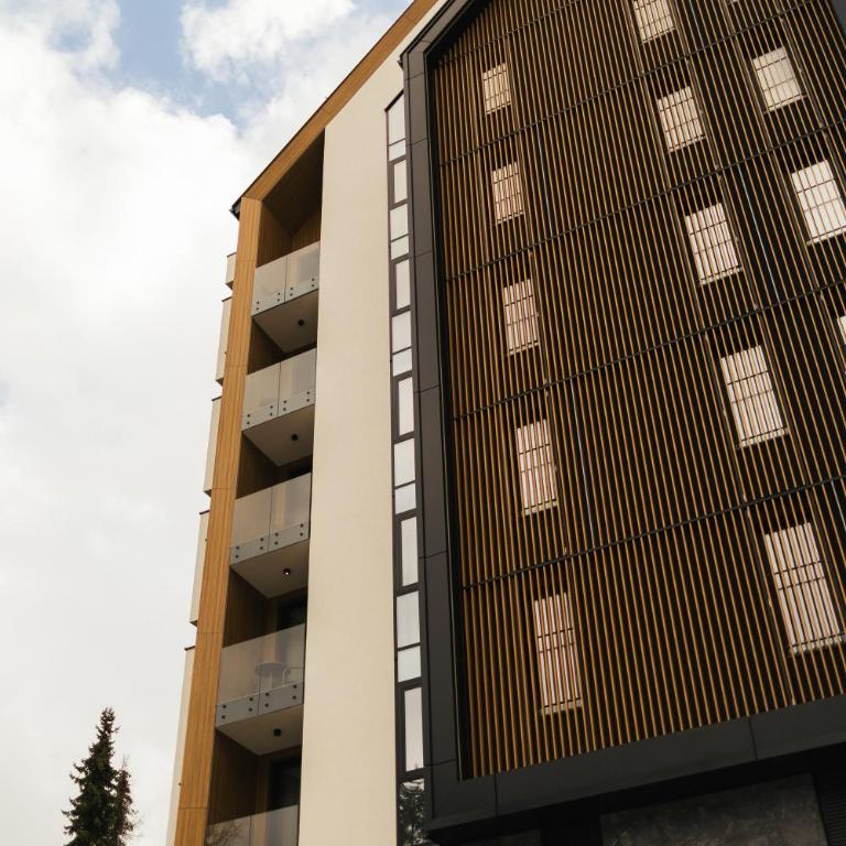 Dameski house Srebrni vrhovi - Apartman sa 1 Spavaćom Sobom - 43