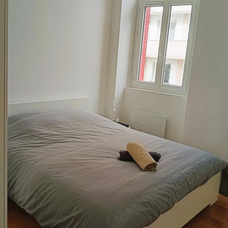 102 - Appart rénové avec grand salon et 1 chambre - Tram et Clinique Mutualiste à 1 min - Appartement 1 Chambre - 16