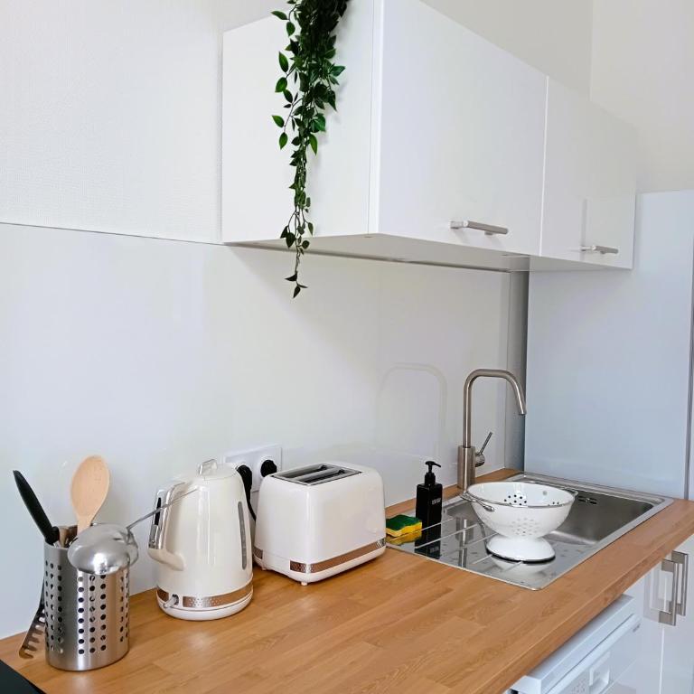 102 - Appart rénové avec grand salon et 1 chambre - Tram et Clinique Mutualiste à 1 min - Appartement 1 Chambre - 6