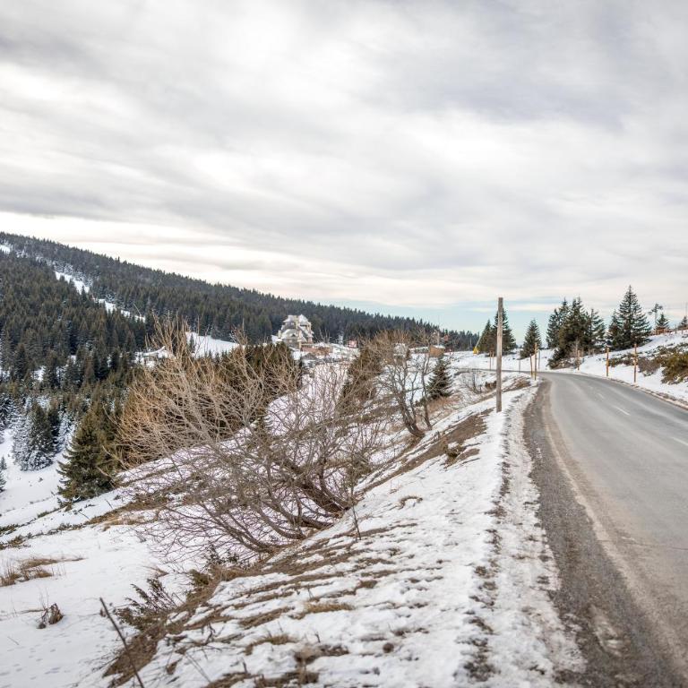 Alethea Lux Apartments, Milmari Resort Kopaonik - One-Bedroom Apartment - 32