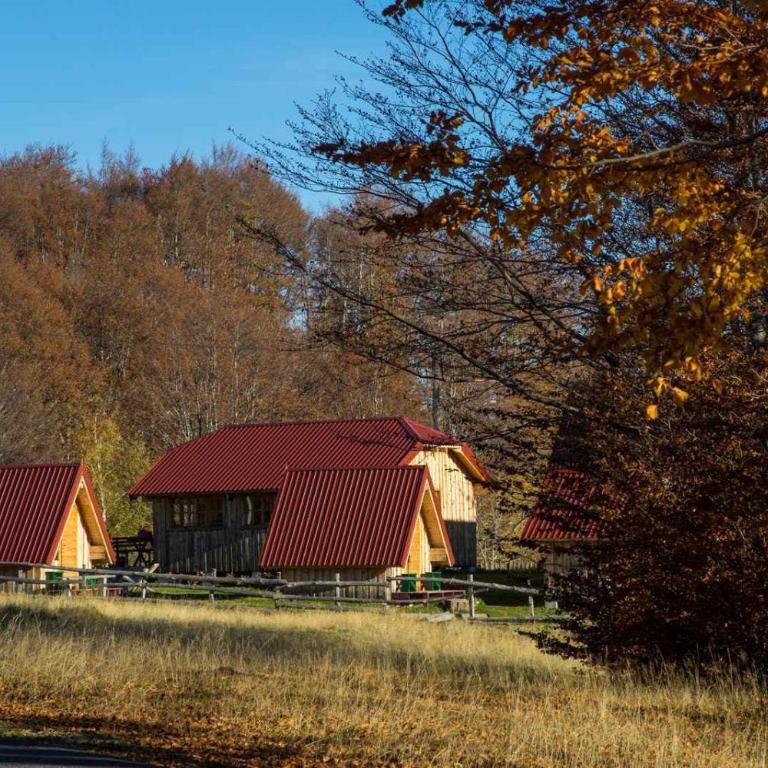Maple bungalows - Dvokrevetna Soba sa Bračnim Krevetom i Pogledom na Planinu - 2