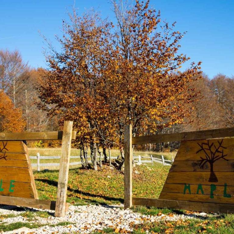 Maple bungalows - Dvokrevetna Soba sa Bračnim Krevetom i Pogledom na Planinu - 11