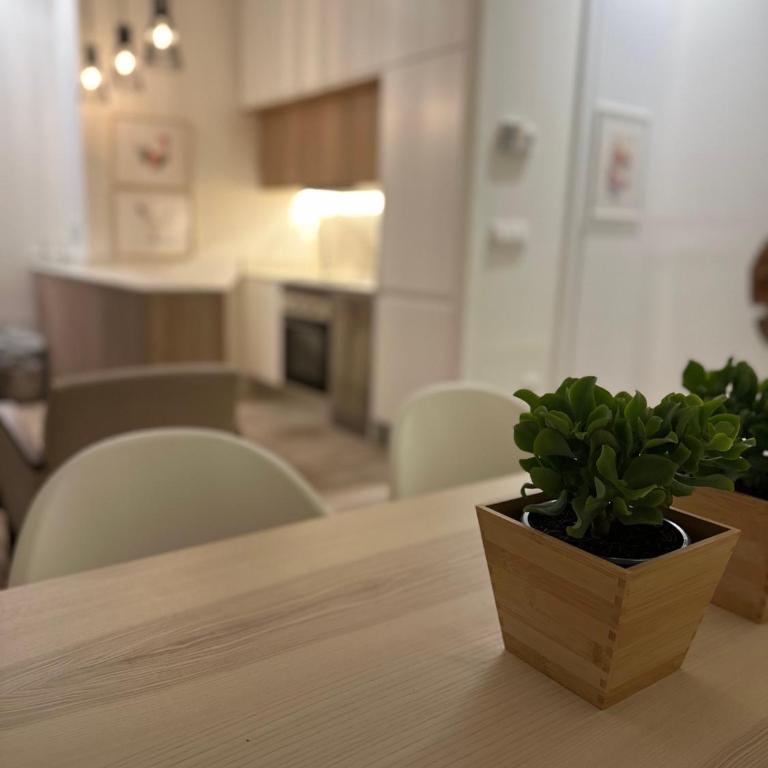 Apartamento Moncloa - Three-Bedroom Apartment - 4
