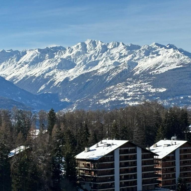 L'Eperon Center Crans wonderful view - Appartement Supérieur - 5
