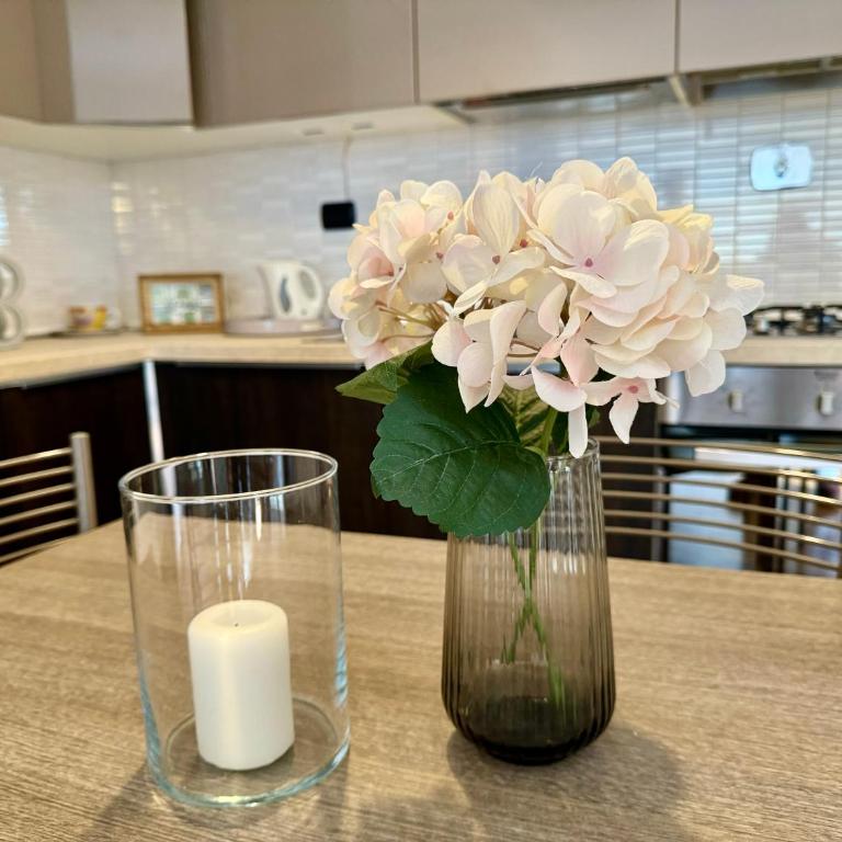 Flaminia home - Appartement 1 Chambre - 16