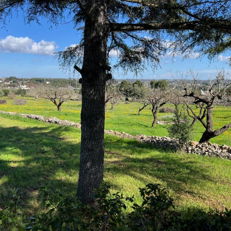 Trulli DOmimi'2024 - Appartamento con 3 Camere da Letto - 38