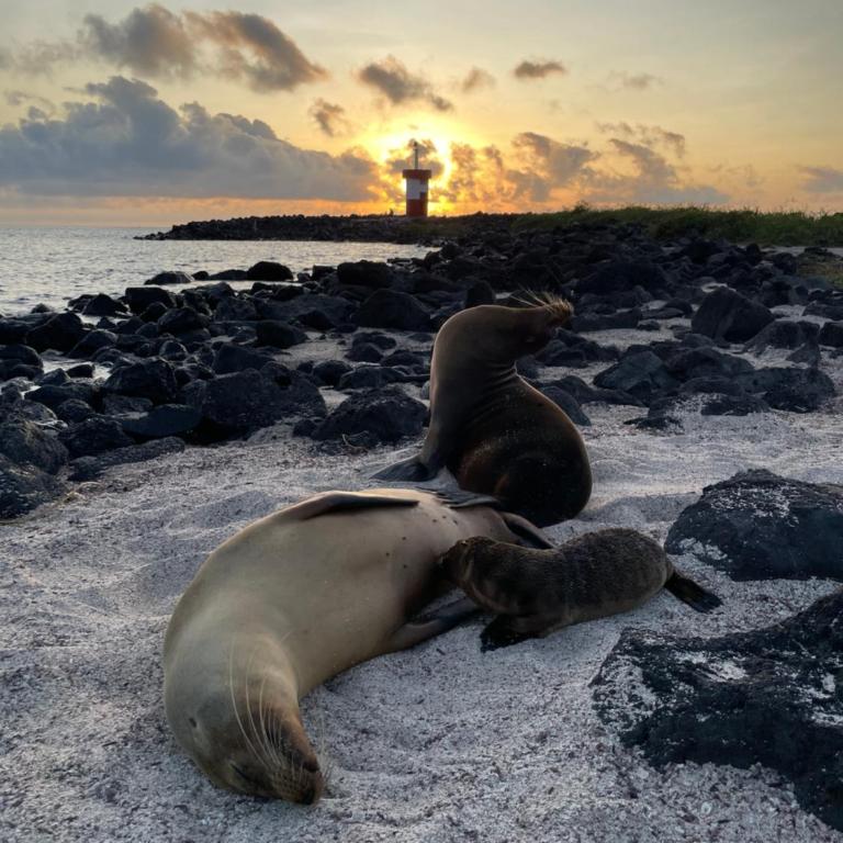Moonlight, Galápagos - Habitación Deluxe - 9