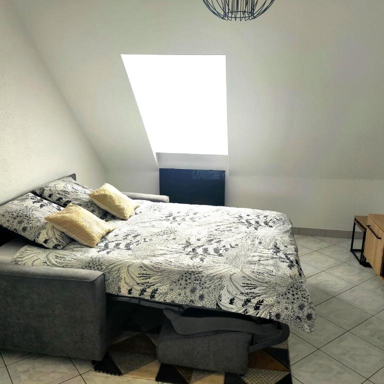 Le 11 de Colmar - Appartement 1 Chambre - 4