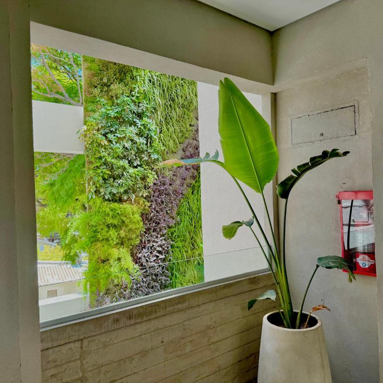 Lo de Chany - Apartamento de 2 dormitorios - 18