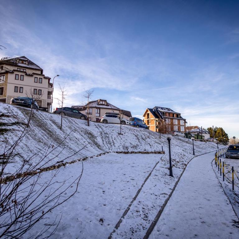 Alethea Lux Apartments, Milmari Resort Kopaonik - One-Bedroom Apartment - 43