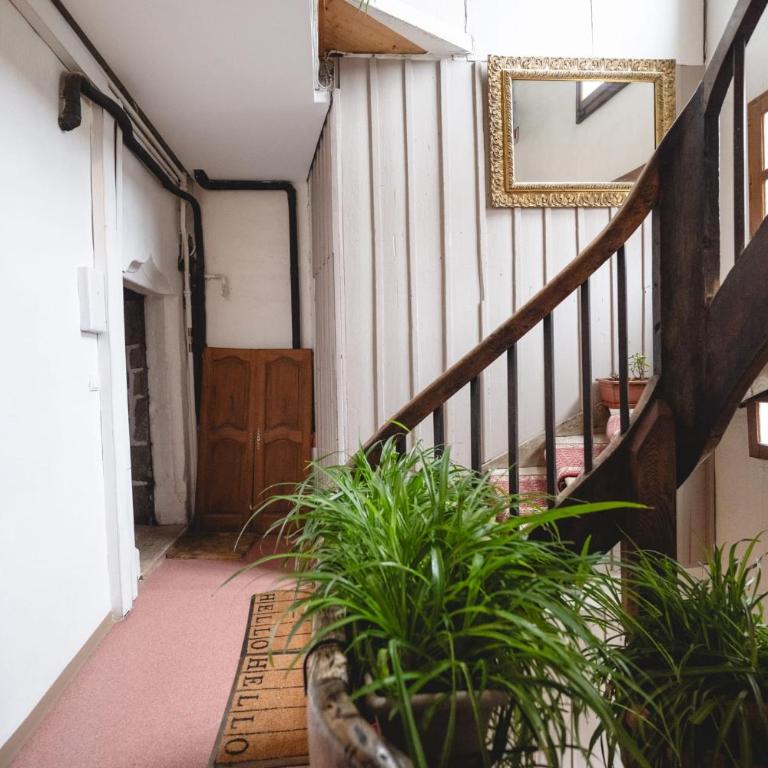 LE MACARON - Appartement Cozy au coeur de la vieille ville - Appartement - 19