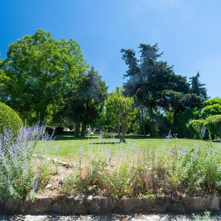 Villa Les Saffres in Malaucene - Maison de Vacances - 13