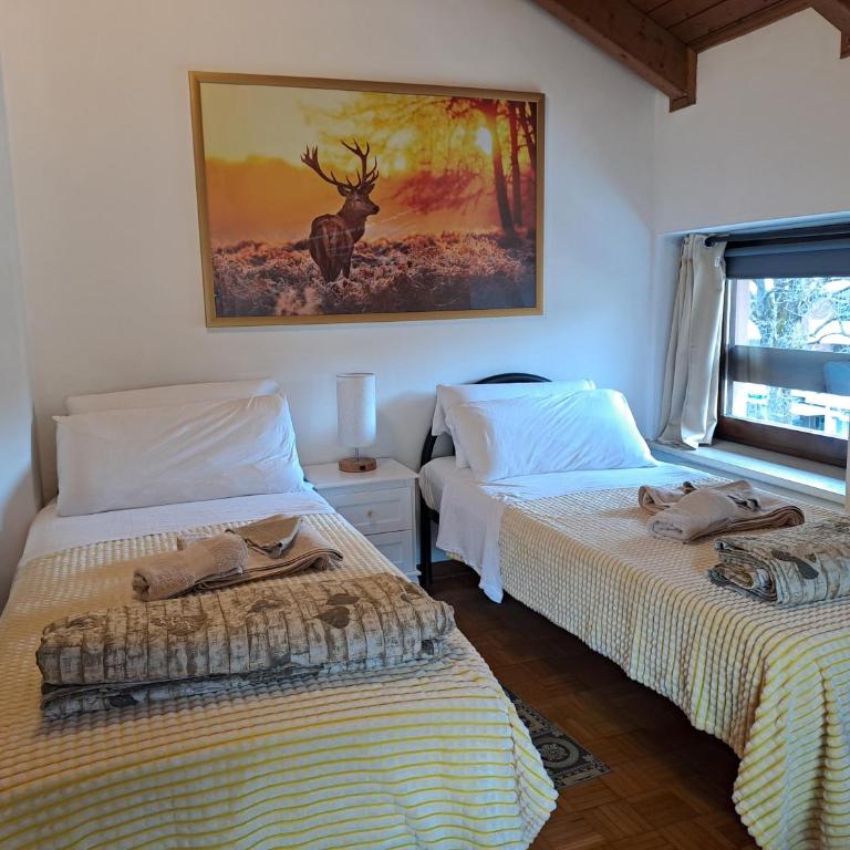 Appartamento grande Al Ponte. Situato vicino all'ospedale, al parco e al centro città - Three-Bedroom Apartment - 25