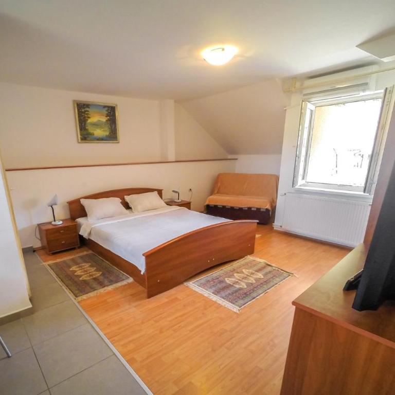 apartmani.miletic 1 - Studio with Mountain View - 11