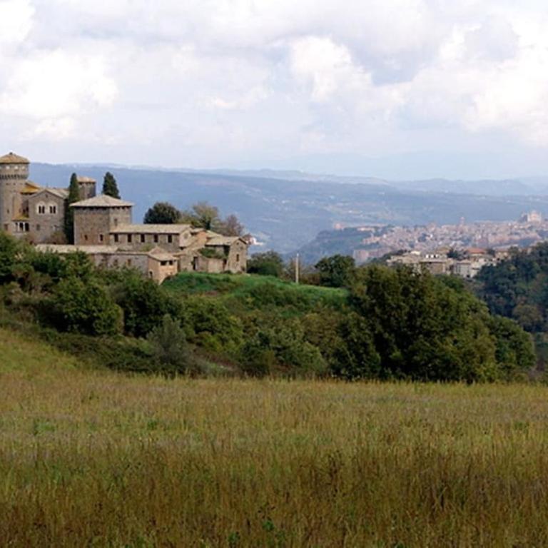 Casa Passero Orvieto - Haus mit 2 Schlafzimmern - 1