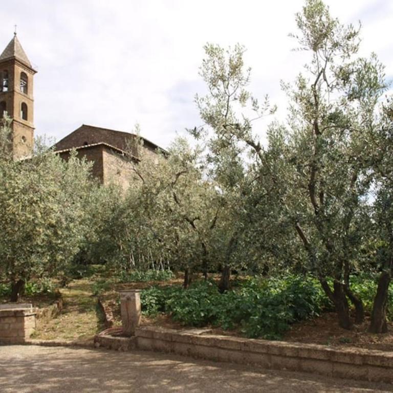 Casa Passero Orvieto - Haus mit 2 Schlafzimmern - 2