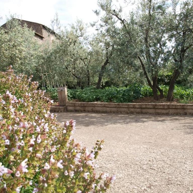 Casa Passero Orvieto - Haus mit 2 Schlafzimmern - 9