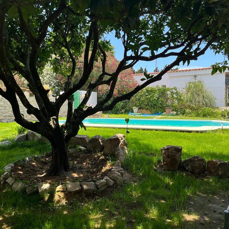 Casa rural con piscina en Conil de la Frontera - Casa Oeste - Casa de 2 dormitorios - 4