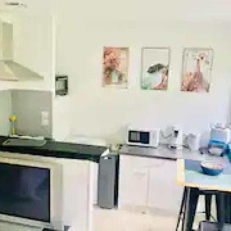 Metz Muse Studio 4 couchages - Appartement 1 Chambre - 4