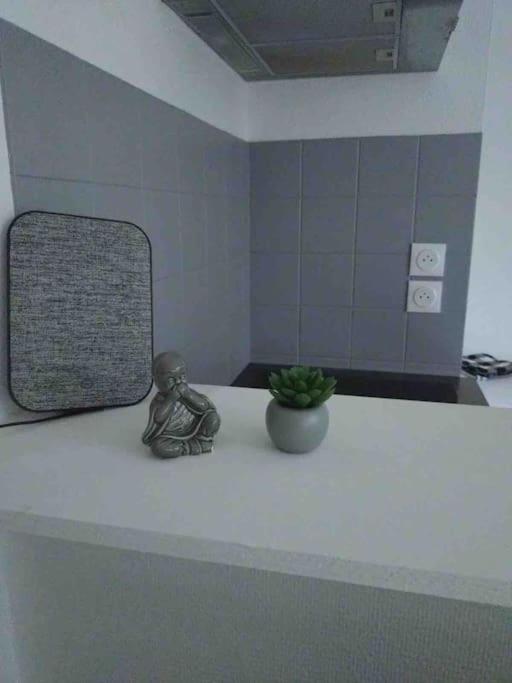 Metz Muse Studio 4 couchages - Appartement 1 Chambre - 15
