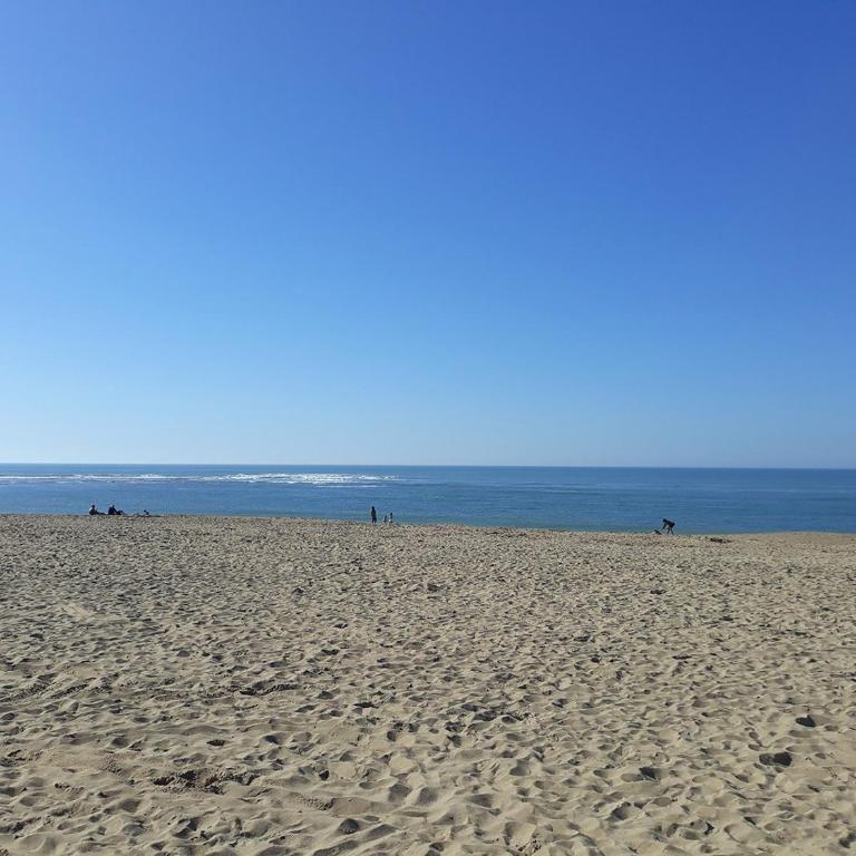 Douce échappée à deux pas de la plage - Apartment - 20