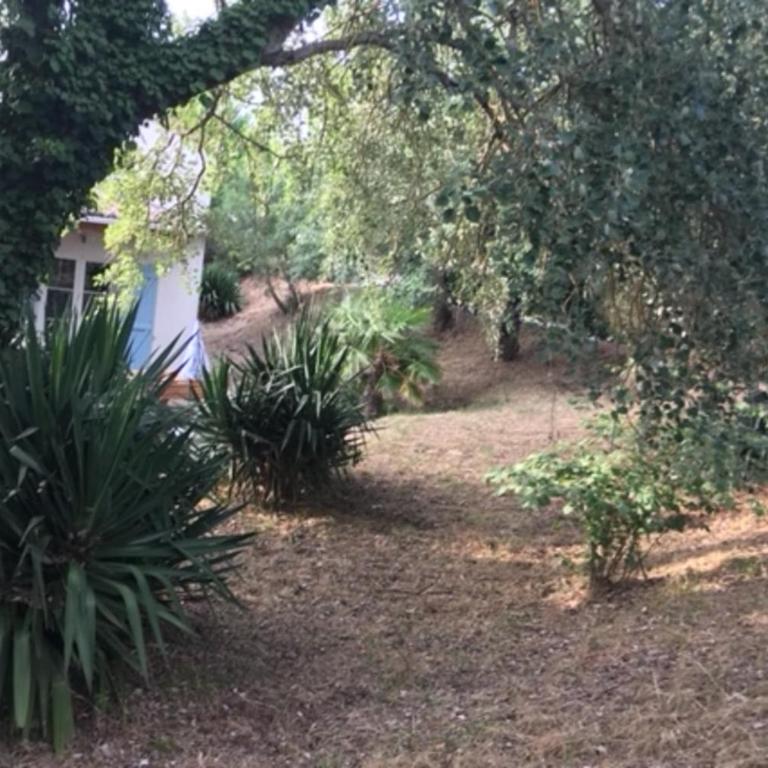 Comfortable and nice house with a beautiful garden - Maison de Vacances - 14