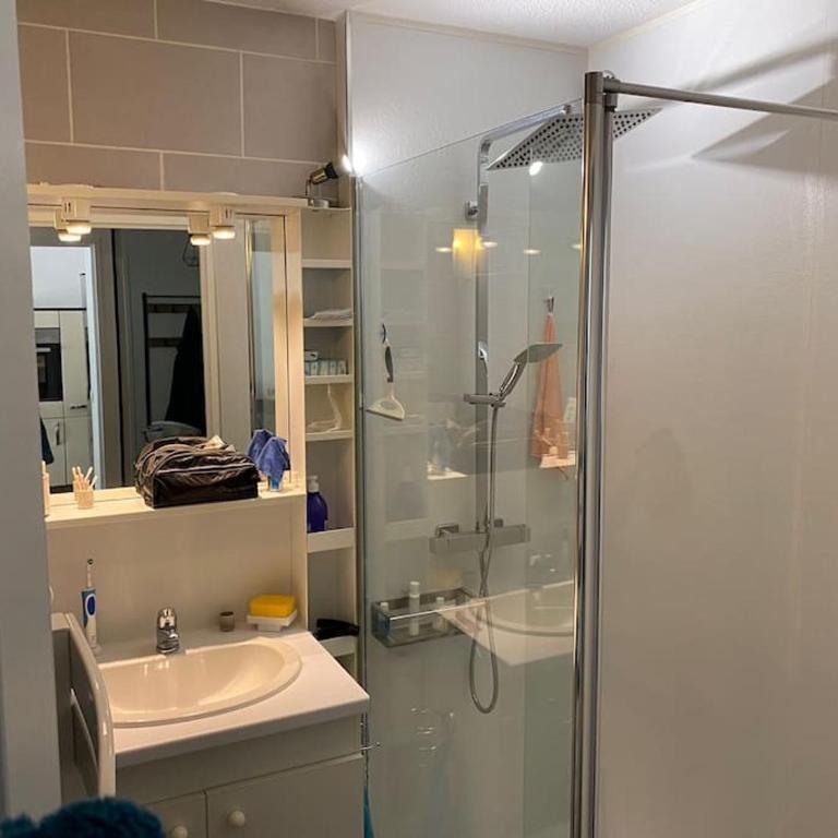 Bel appartement T2 sur le Bassin d'Arcachon - Appartement 1 Chambre - 3
