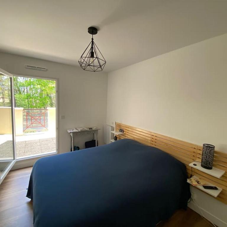 Bel appartement T2 sur le Bassin d'Arcachon - Appartement 1 Chambre - 5
