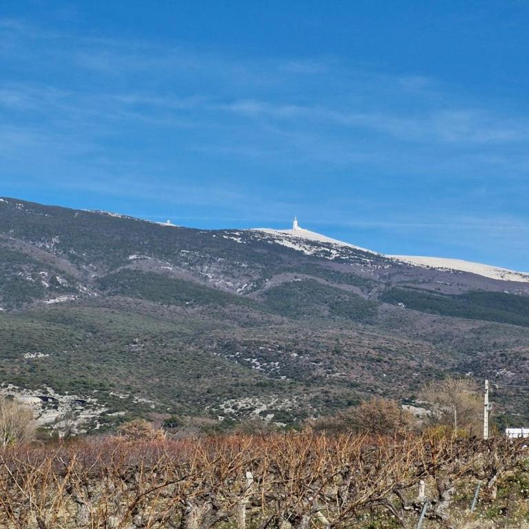 Chalet du Mont Ventoux - Rendez-vous en Provence - Chalet 1 Chambre - 13