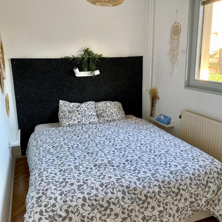 Une vue les pieds dans l'eau - Appartement 1 Chambre - 13
