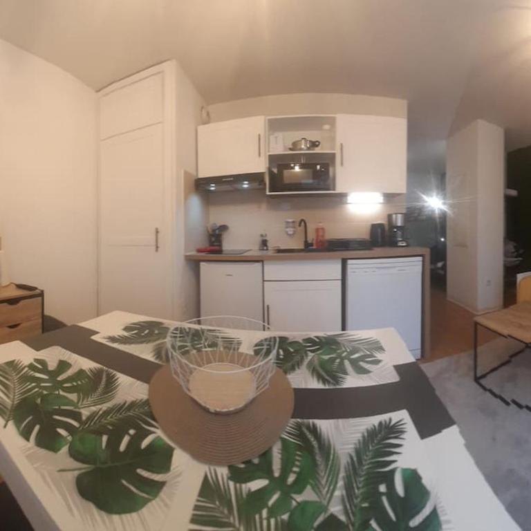 Appartement du Mouflon Vert, dans résidence de tourisme 3 étoiles - Appartamento Monolocale - 8