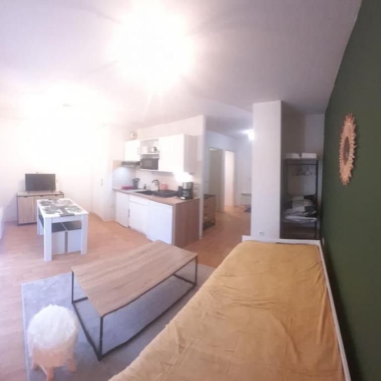 Appartement du Mouflon Vert, dans résidence de tourisme 3 étoiles - Appartamento Monolocale - 9