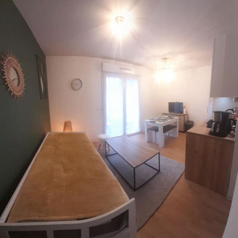 Appartement du Mouflon Vert, dans résidence de tourisme 3 étoiles - Appartamento Monolocale - 10