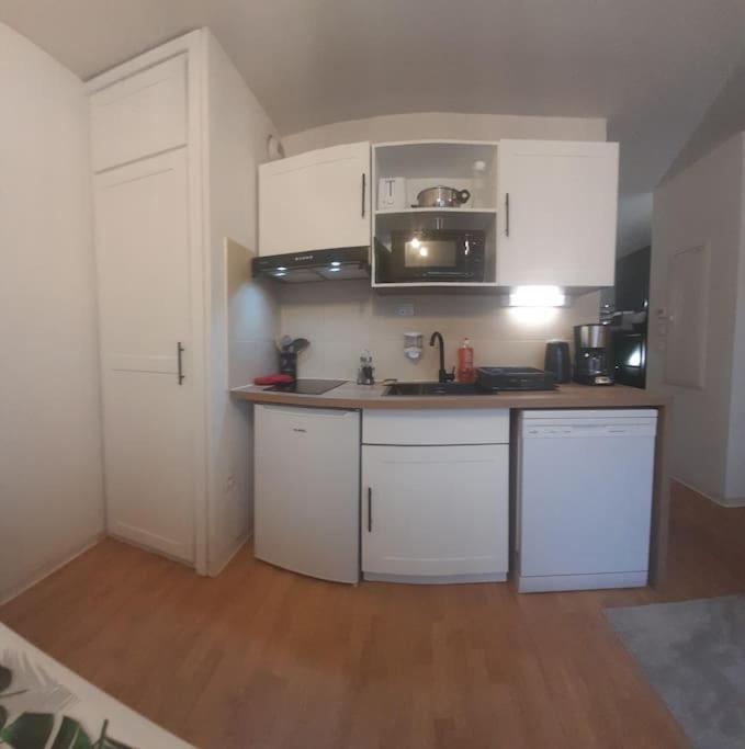 Appartement du Mouflon Vert, dans résidence de tourisme 3 étoiles - Appartamento Monolocale - 11