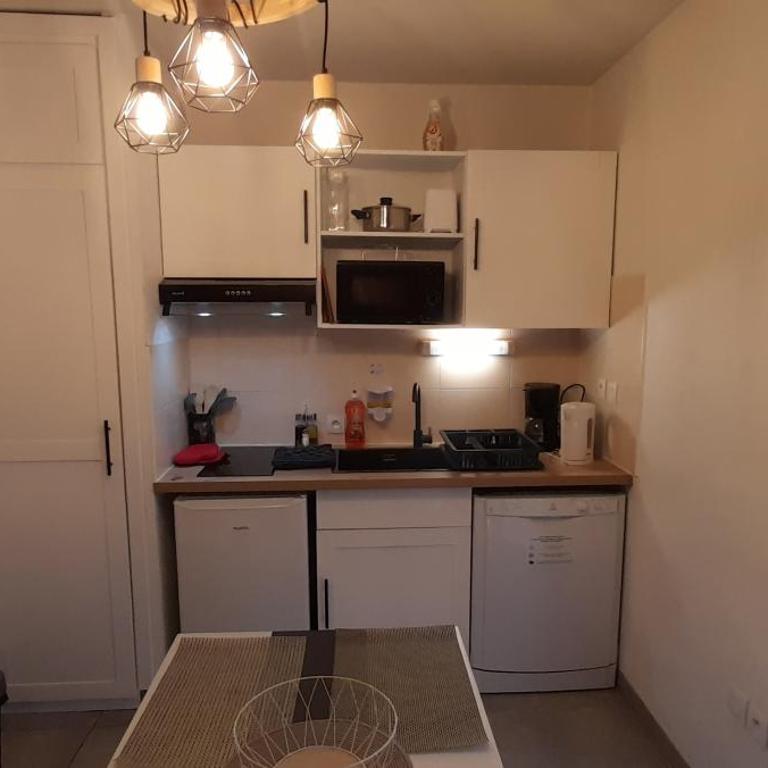 Appartement du Chamois Roux, dans résidence de tourisme 3 étoiles - Studio - 8