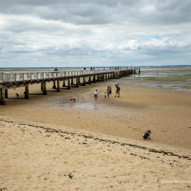 Escale avec jardin - 750m plage de la Jetée - Casa - 19