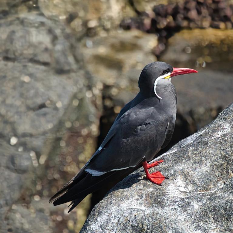 Rincones del Placer, un lugar repleto cariño - Apartamento de 3 dormitorios - 5
