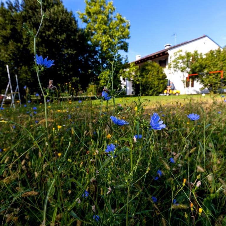Fiori di campo - Treviso - Apartment mit 3 Schlafzimmern - 4