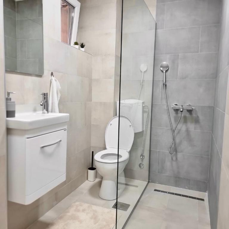 The Blue Velvet Apartment - Apartman sa 1 Spavaćom Sobom - 15