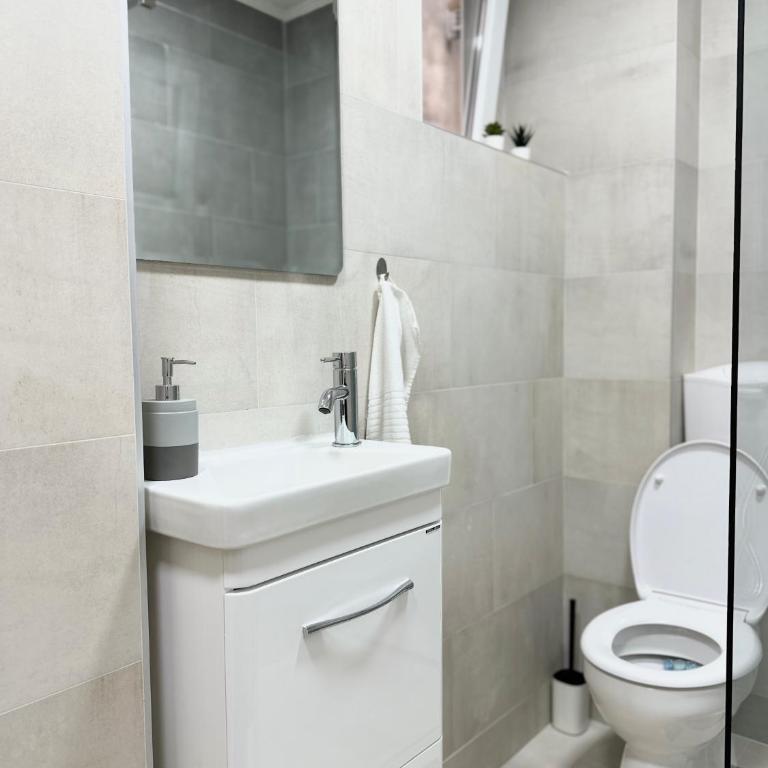 The Blue Velvet Apartment - Apartman sa 1 Spavaćom Sobom - 17