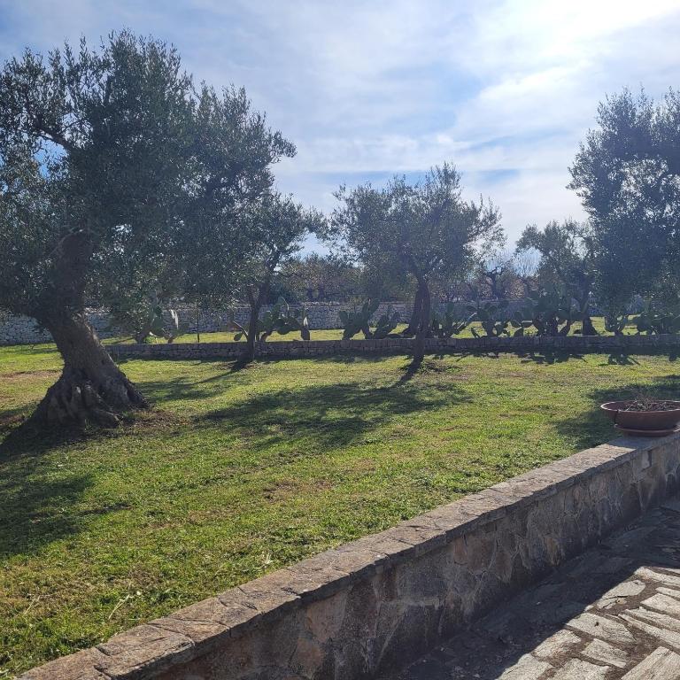 TerraCieloMare Apartments - Appartamento con 1 Camera da Letto - 19