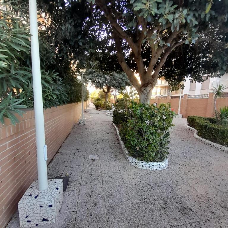 VISTAMAR DREAMS, 1º LINEA PLAYA AMPLARIES - Apartamento de 2 dormitorios - 17